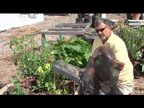 How to Make Sun Shade Covers for Vegetable Gardens : Vegetable